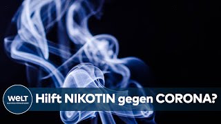 IMPFSTOFFFORSCHUNG hat Nikotin eine schützende Wirkung gegen Corona [upl. by Iggep263]