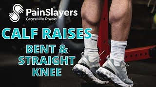 Calf Raises  Importance of Straight and Bent Knee Versions [upl. by Efal450]