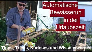 ✅Garten automatisch bewässern während der Urlaubszeit  Selbstbewässerung Pflanzen Gemüse im Urlaub [upl. by Simonsen]