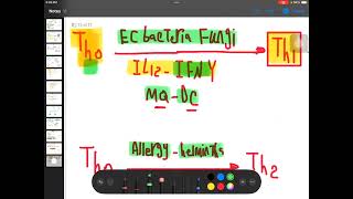 Cell Mediated Immunity part 2 [upl. by Aihtebat]