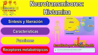 Neurotransmisores  Sistema nervioso central  Histamina  Histamina neurotransmisor [upl. by Omik]