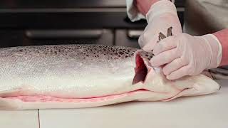 How to Fillet a Salmon [upl. by Portwine752]