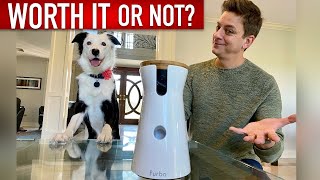 Is the Furbo Dog Camera Really Worth it [upl. by Jasmina347]