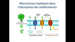 cour2 absorption des médicaments [upl. by Neirol]