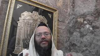 Sidur nusach Ashkenaz with the kavanas of the Arizal [upl. by Vogeley504]