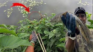 गुलेल से Snakehead का शिकार Fish Hunting Challenge [upl. by Cousins496]