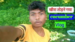 खीरा तोड़ने गया था Cucumber vlog Zero Star Sambhu Vlog [upl. by Rahel]