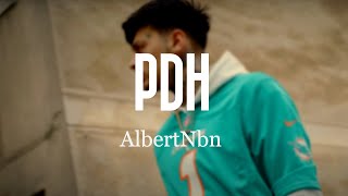 AlbertNbn  PDH  LYRIC VIDEO [upl. by Boycey]