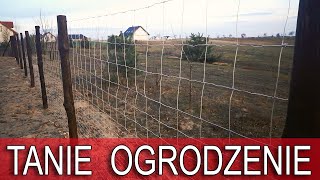 Sposób na tanie ogrodzenie działki DomZa100 95 [upl. by Jaworski]