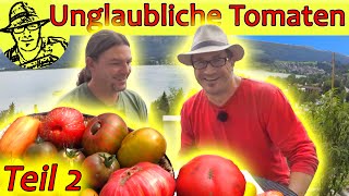 Gartenrundgang beim TomatenProfi Teil 2 Wir testen die besten Sorten aus dem Tomatengarten [upl. by Segroeg479]