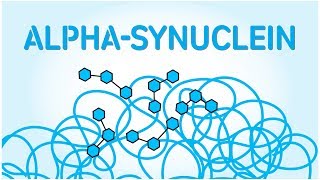 Alphasynuclein and their role in Parkinsons [upl. by Ilona240]