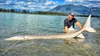 Ich fange den größten Fisch der Welt im Süßwasser [upl. by Piefer]