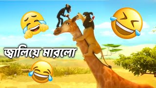 সবার কাছে মার খেলো সিংহ  Top Bangla Comedy Cartoons for NonStop Laughter  ছায়ার দুনিয়া [upl. by Gorman]