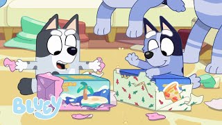 Christmas Swim  Bluey Christmas  Bluey [upl. by Anderegg779]