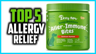 ✅Top 5 Best Allergy Relief for Dogs in 2024 [upl. by Tarrah]