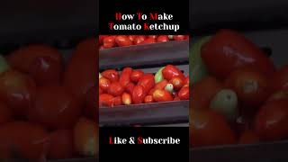 Inside a Tomato Ketchup Production Plant  How to Make Tomato Ketchup in a Production Plant [upl. by Anirdnajela25]