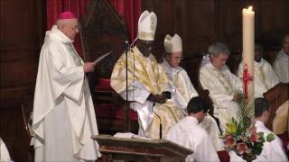 Cardinal Robert Sarah Messe à la cathédrale de Perpignan 6 mai 2017 [upl. by Itteb]