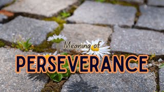 What is the meaning of Perseverance [upl. by Graniah]