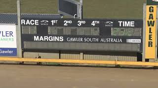 Gawler07082024Race1 [upl. by Rahas]