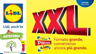 VOLANTINO LIDL dal 13 al 19 maggio 2024 anteprima [upl. by Bryanty]