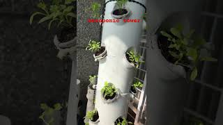 aeroponic tower—fresh sustainable produce grown with minimal water and no soil sustainableliving [upl. by Eibor]