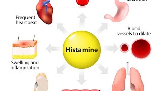 Hablemos De Histamina [upl. by Enyrhtak]