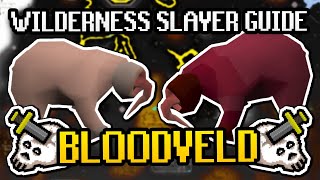 Bloodvelds Wilderness Slayer Quick Guide  EXTREMELY LOW RISK amp Budget Setup OSRS 2024 Easy Guide [upl. by Aradnahc]