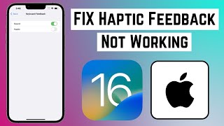 How to Fix Haptic Feedback Not Working in iOS 16 on iPhone amp iPad [upl. by Deyes]