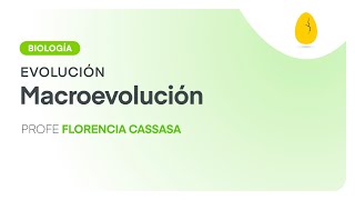 Macroevolución  Biología  Evolución  V10  Egg Educación [upl. by Tish]