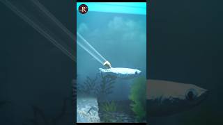 Shoot A Bullet Underwater 🤔science facts [upl. by Suivatra568]