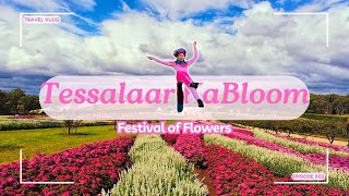 Tessalaar KaBloom  Festival of Flowers  Melbourne  Australia [upl. by Arni]