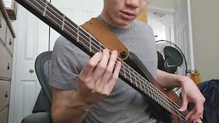 Trying to Learn the Bass  Schism by Tool [upl. by Yelekreb]