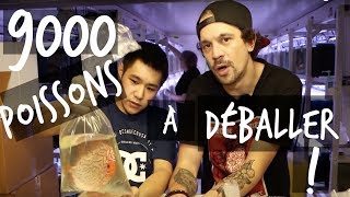 9000 POISSONS DAQUARIUM À DÉBALLER  VLOG TOOPET [upl. by Ajup79]