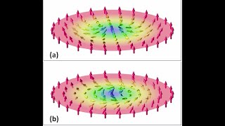 Video 1 What is a Magnetic Skyrmion [upl. by Uon]