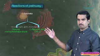 Uronic Acid Pathway and Essential Pentosuria [upl. by Inhsor]