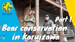 Bear conservation in Karuizawa  Part 1 Setting a barrel trap ツキノワグマ保護管理 in 軽井沢  Picchio ピッキオ [upl. by Narik]