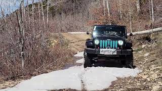 La Sal Pass Tree Removal [upl. by Nevaeh]