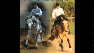 Video Tribute to Ichibon DMFquotPetriquot The Reining Andalusian [upl. by Ilecara979]