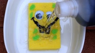 Sulfuric Acid vs Sponge  Chemical Reaction [upl. by Callida]