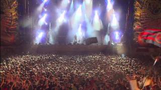 Papa Roach  Dead Cell Live  Woodstock Poland 2010 [upl. by Saylor]