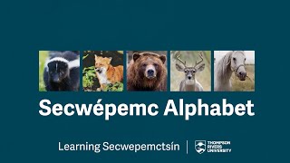 Learn the Secwépemc Alphabet with Ted [upl. by Aracal903]