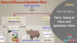 Fibre to Fabric Class 6 Science Chapter 3  Fibre Natural Fibre and Synthetic Fibre [upl. by Amhser]