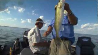 Rigging Spinners for Summer Walleye [upl. by Coleville]