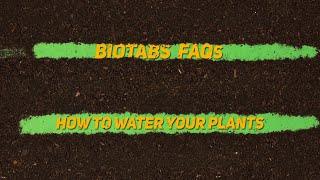 How to water your plants  BioTabs FAQs [upl. by Ronel]