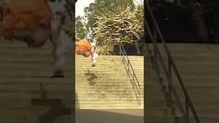 SKATE TRiCKS with Baby Adley [upl. by Verna]