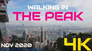 4K Walking in the Peak Nov 2020  Hong Kong [upl. by Teodoor]