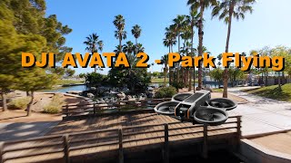 DJI AVATA 2 Flight  Freestone Park ND 16 Filter on O4 Camera [upl. by Anbul758]