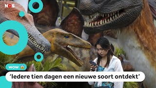 dinosauriërs en hun einde [upl. by Jenesia]