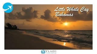 Little Whale Cay Bahamas Berry Islands [upl. by Izy741]