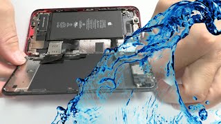 My iPhone 11 Got Wet💦 Guide about how do I fix it ✅ [upl. by Ella]